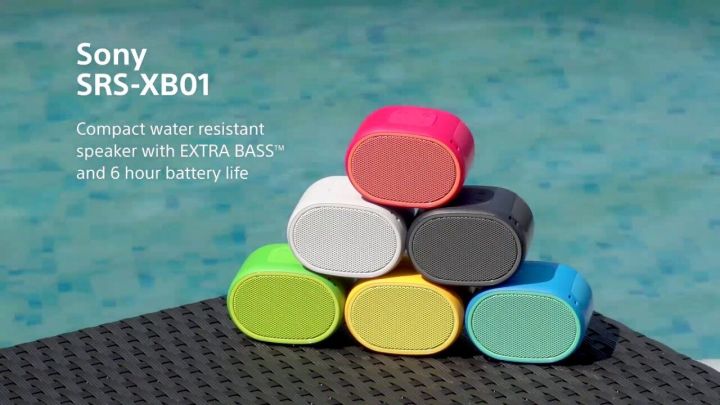 Sony SRS-XB01 Extra Bass Portable Bluetooth Speaker Lazada Lazada