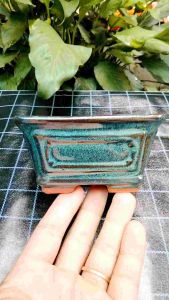 Chậu bonsai vuông có hoạ tiết nổi