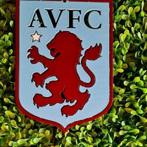 Aston Villa 18*13 เซนติเมตร 2.5 มิล น้ำหนัก 0.3 กิโลกรัม 2K สีพ่น รถยนต์ 2K สวยงาม ไม่ลอกไม่ร่อน ไม่เป็นกระตุ้น ทำให้กับบ้านเรือนทนแดดทนฝนทน เพื่อให้ความละเอียดเพิ่มขึ้น สามารถใช้ได้สำหรับการโปรโมชั่น ให้ความสวยงามในอากาศ