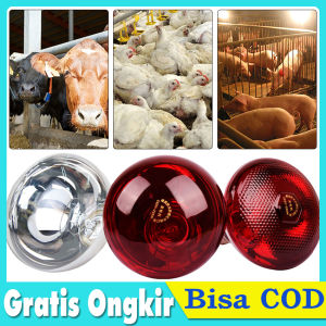 Lampu Penghangat Anak Ayam Lampu Pemanas Hewan Infrared Tahan Air 100W 150W Untuk Anak Ayam Burung Babi Kambing Sapi