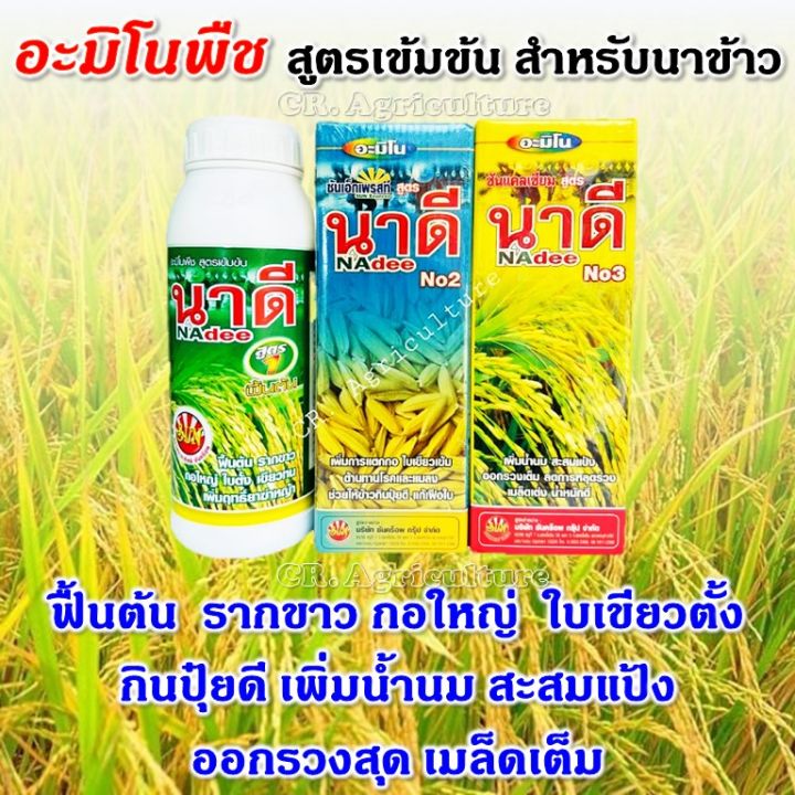 นาดี อะมิโน ฮอร์โมนข้าว เร่งต้น แตกกอ