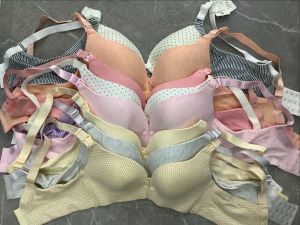 Vernice Collection Random Maternity Breastfeeding Bra Overruns