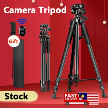 Trải nghiệm sự thú vị tại https//st666.uk.com/ - Sân chơi lý tưởng cho mọi người đam mê cá cược