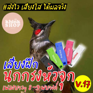 เสียงฝึกนกกรงหัวจุก เพลงยาวๆ 8-9 พยาง ชุดฟิลเลอร์ แฟลชไดรฟเสียงฝึกนกกรงหัวจูก เพลงยาวๆ 8-9 พยาง