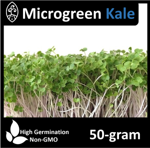Microgreen Kale Seeds - Zigro