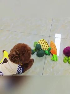 Interactive Pet Toy Plush Texture NewSupplies Toys Plush Sound Vegetable Fruit Series Dog Toys Chew Resistant Dog dog and cat activity toy chew and play toy for Cats Dogs and Pet Owners