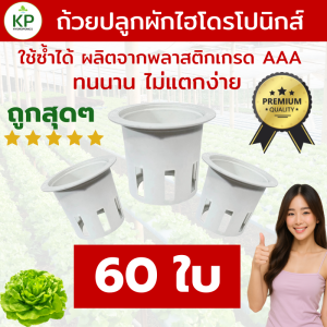 ถ้วยปลูกผัก ถ้วยปลูกผักไฮโดรโปนิกส์ ถ้วยปลูกผักสลัด ถ้วยปลูกสีขาว แบบใช้ซ้ำได้ ถ้วยปลูก Hydroponics