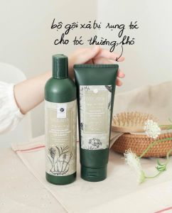 Bộ Dầu Gội Xả Gừng Hà Thủ Ô WEILAIYA Giảm Rụng Tóc Kích Mọc Tóc (400ml + 250ml) TẶNG KÈM SET MINI