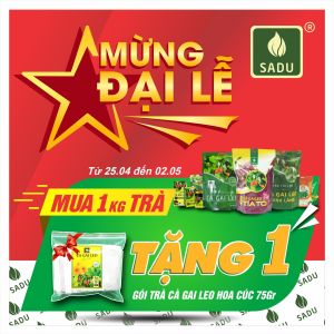 [1KG TẶNG TRÀ HOA CÚC 75G ] Trà giải độc gan Túi lọc Cà gai leo gói hỗ trợ Thải độc mát gan tăng cường chức năng Gan