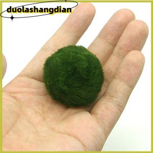 [Duola] ลูกบอลมอสมาริโมขนาด3-4ซม. พืชสดสาหร่ายบ่อเลี้ยงกุ้งเครื่องประดับสาหร่ายจำลองลูกบอลสีเขียวพืชเทียม