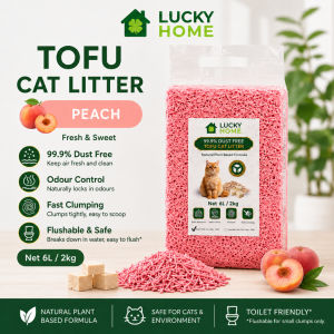 🇸🇬Koala Home🔥Tofu Cat Litter 2KG 6L Activated Carbon Cat Sand Fast Clumping Dust-Free Flushable Odour Control