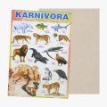 Poster Anak - Poster Edukasi Anak Lembaran – Herbivora / Carnivora / Omnivora / Reptiles / Insectivora / Unggas /Pustaka Baru. 