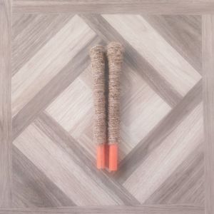 Coco Pole 1 Foot Plant Support For Creeping Plants/Vines/Shrubs/Any Other Plants (Monstera/Pothos)