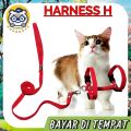 READY SEMUA WARNA TALI KUCING HARNESS O TALI TUNTUN KUCING ANJING HARNES LONCENG. 