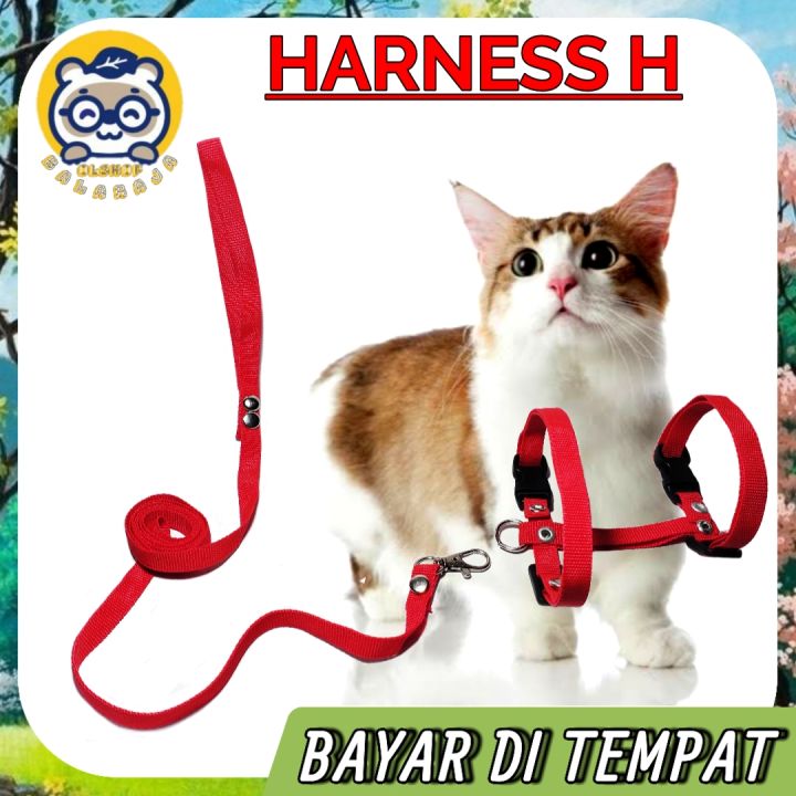 READY SEMUA WARNA TALI KUCING HARNESS O TALI TUNTUN KUCING ANJING HARNES LONCENG
