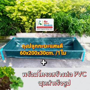 ถุงปลูกกะบะแสนดี ขนาด 60x200x30 ซ.ม. จำนวน 1ใบ + โครงสร้างท่อ PVC 1 นิ้ว ******โปรดอ่านเงื่อนไขการสั่งซื้อ