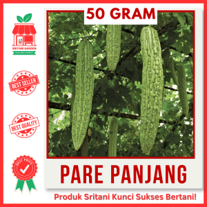 50 GRAM - BENIH PARE PANJANG BESAR UNGGUL PILIHAN