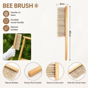 Beekeeping Hive Cleaning Brush Wooden Bee Sweep Beekeeper Tools 2 Row Bristles Horsetail Hair Beekeeping Equipment