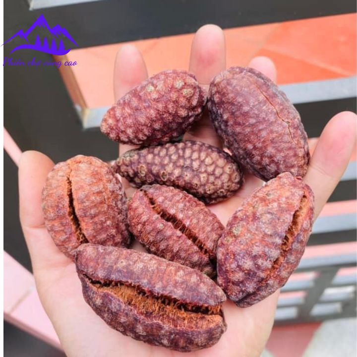 Chuối hột rừng Tây Bắc sấy khô ngâm rượu, quả tròn loại 1 (khô, sạch ...