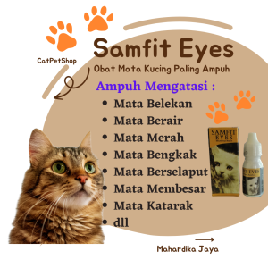 Obat Mata Kucing Belekan Berair Bengkak Berselaput Menonjol Bernanah Kitten Dewasa Samfit Eyes Eye