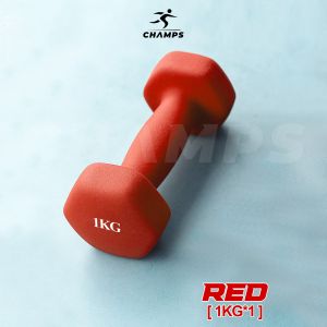 Champs Mini Dumbell Barbel Alat Gym Rumahan Cewek Alat Olahraga Untuk Di Rumah Vinyl Cewek Barbel