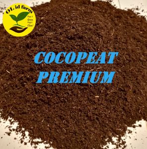 MEDIA TANAM COCOPEAT PREMIUM SUPER HALUS 1 KG