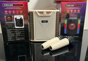 Speaker with 2 wireless mic 5 RGB lighting to change Bluetooth built in battery usb flash plug n play TF card plug n play fixed carry handle n mic holder