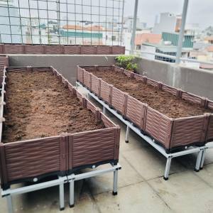 CHẬU GHÉP THÔNG MINH.KT: 300x100x39 Cm: Phù hợp mọi cây trồng và diện tích.