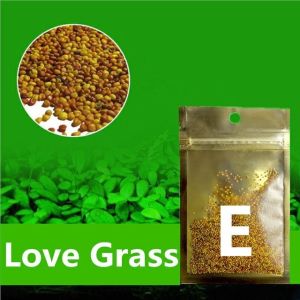 Easy Growing Fish Tank Plant Green Grass Aquarium Grass Mat Lawn Decor/Seed