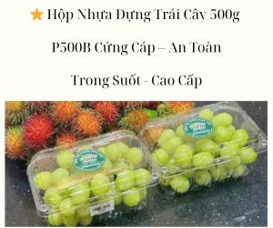⭐️ Hộp Nhựa Đựng Trái Cây 500g – P500B