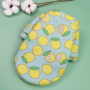 *HCM* Áo nỉ có tay cho chó mèo chất vải cực tốt áo poodle 5 size từ nhỏ đến siêu bự- Hàng siêu xịn