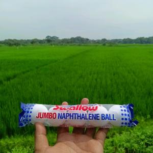 KAPUR BARUS ISI 5 SWALLOW TOILET BALL WARNA PUTIH