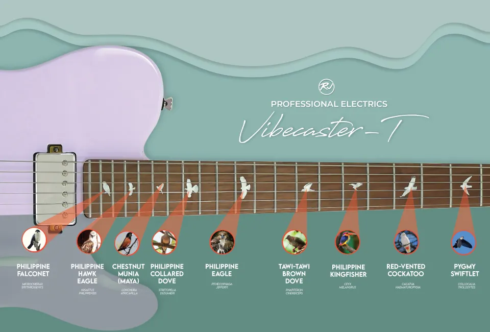 RJ Professional Electrics Vibecaster T (T-Style Body