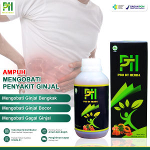 Obat Ginjal Herbal Paling Ampuh Ginjal Bocor Ginjal Begkak Gagal Ginjal Penghancur Batu Ginjal Tanpa Operasi Kista Ginjal Infeksi Ginjal Infeksi Saluran Kemih Kencing Batu - PRO DT HERBA Original