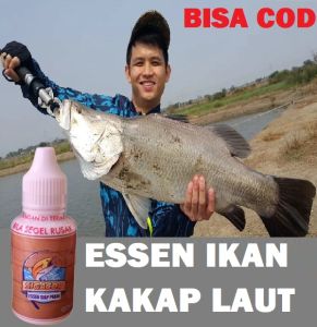 SIGACOR ESSEN UNTUK IKAN KAKAP LAUT 30ML