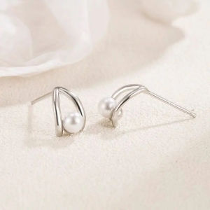 Elegant Simple Earrings Exquisite Versatile Fashion Ear Accessories For Ladies