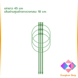 KANGBAN โครงเถาวัลย์ เสามะเขือเทศ โครงปลูก อุปกรณ์สำหรับพืชไม้เลื้อย 45cm 60cm plant trellis