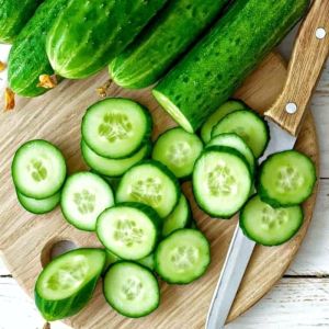 Replika irisan buah timun / Replika sayuran timun  / Vegetarian Replika /dummy sayuran / garnish timun / sliced tikun /Mainan anak / Edukasi anak / Dekorasi meja makan / Display Restaurant Hotel food model Dan lain lain