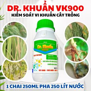 DR. KHUẨN VK900 250ML – Dung Dịch Sinh Học Hỗ Trợ Quản Lý Bệnh Héo Xanh Thối Nhũn Bạc Lá