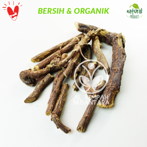 Akar atau Kayu Legi Kering 250gr Asli Hutan