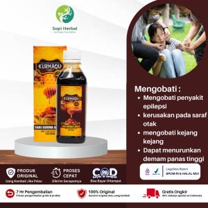 Obat Epilepsi Kejang Kejang Anak Dan Dewasa Gangguan Syaraf Otak Suhu Badan Panas Tinggi Skizofrenia Kerusakan Saraf Otak - Sari Kurma KurmaQu