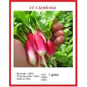 Hạt Giống Củ Cải Đỏ Dài mini dể trồng-gói 5gram(tặng kèm phân bón)