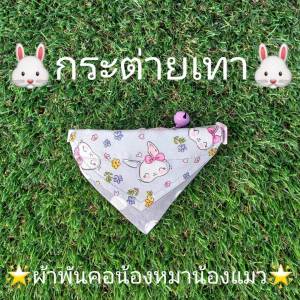 ผ้าพันคอน้องหมาน้องแมว