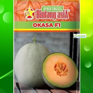Benih Melon Hibrida OKASA F1 CANTALOUPE Daging Orange Isi 20 Gram Cap Bintang Asia