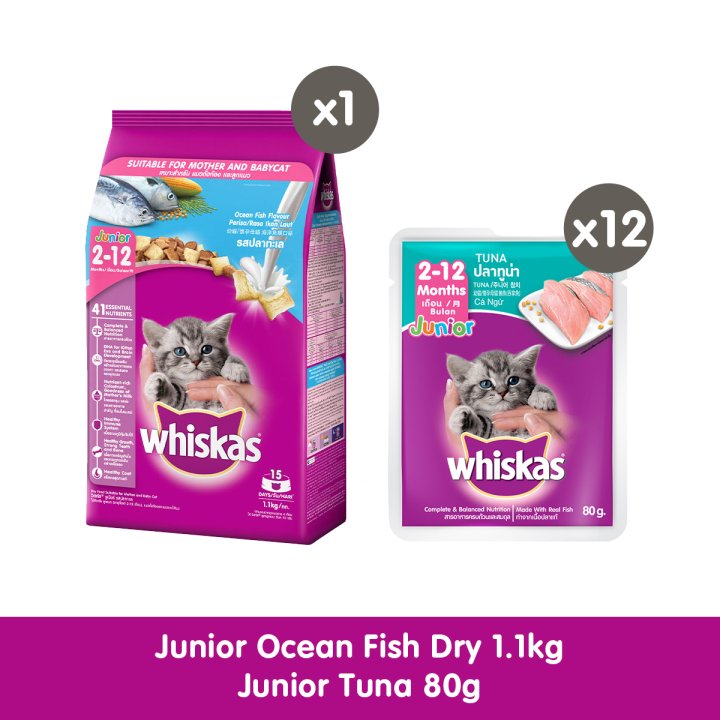 WHISKAS EXCLUSIVE BUNDLE Junior Dry Kitten Food in Ocean Fish Flavor, 1