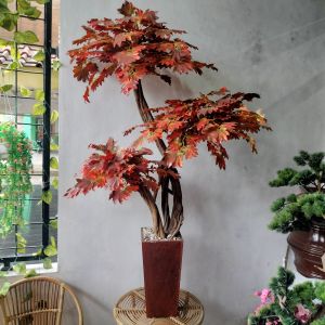 pohon maple artificial - pohon maple tinggi 170 cm - pohon maple coklat