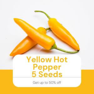 Yellow Hot Chili 5 Seeds Vegetable Outdoor Garden Plant