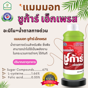 แมมมอท ชูการ์ เอ็กซ์เพรส กระตุ้นการแตกตา แตกยอด ลดการหลุดร่วงของผลอ่อน ของแท้ 100% ขนาด 1 ลิตร