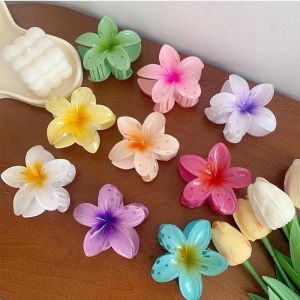 12Pcs/Set Thai Style Cute Flower Hair Clip Colorful Flowers Fashion Beach Hair Clamp Accessories for Women Girl