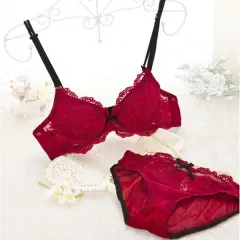 Women Deep-V Sexy Bras Embroidered Side Support Push Up Bra